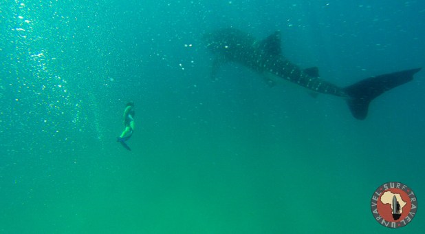 Jenya Zhivaleva Photography. Your Foto Story