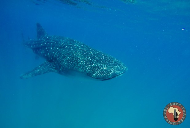 Jenya Zhivaleva Photography. Your Foto Story