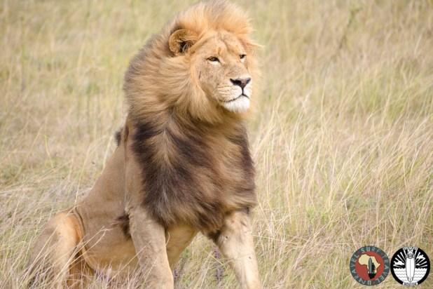 Jenya Zhivaleva Photography. Your Foto Story