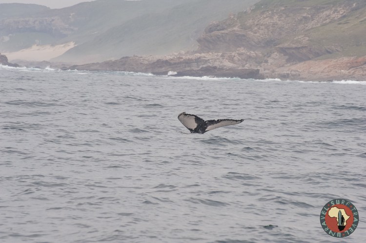 Jenya Zhivaleva Photography.www.yourfotostory.com