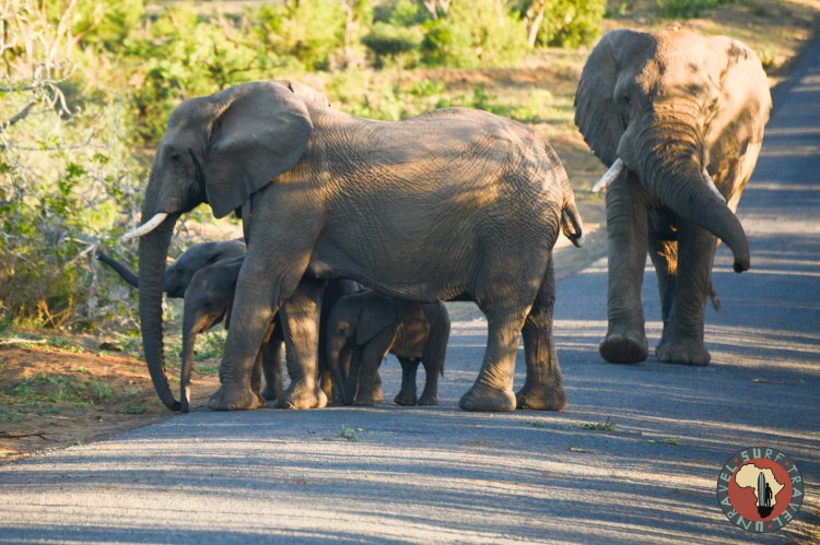 Jenya Zhivaleva Photography. www.unravelsurftravel.com