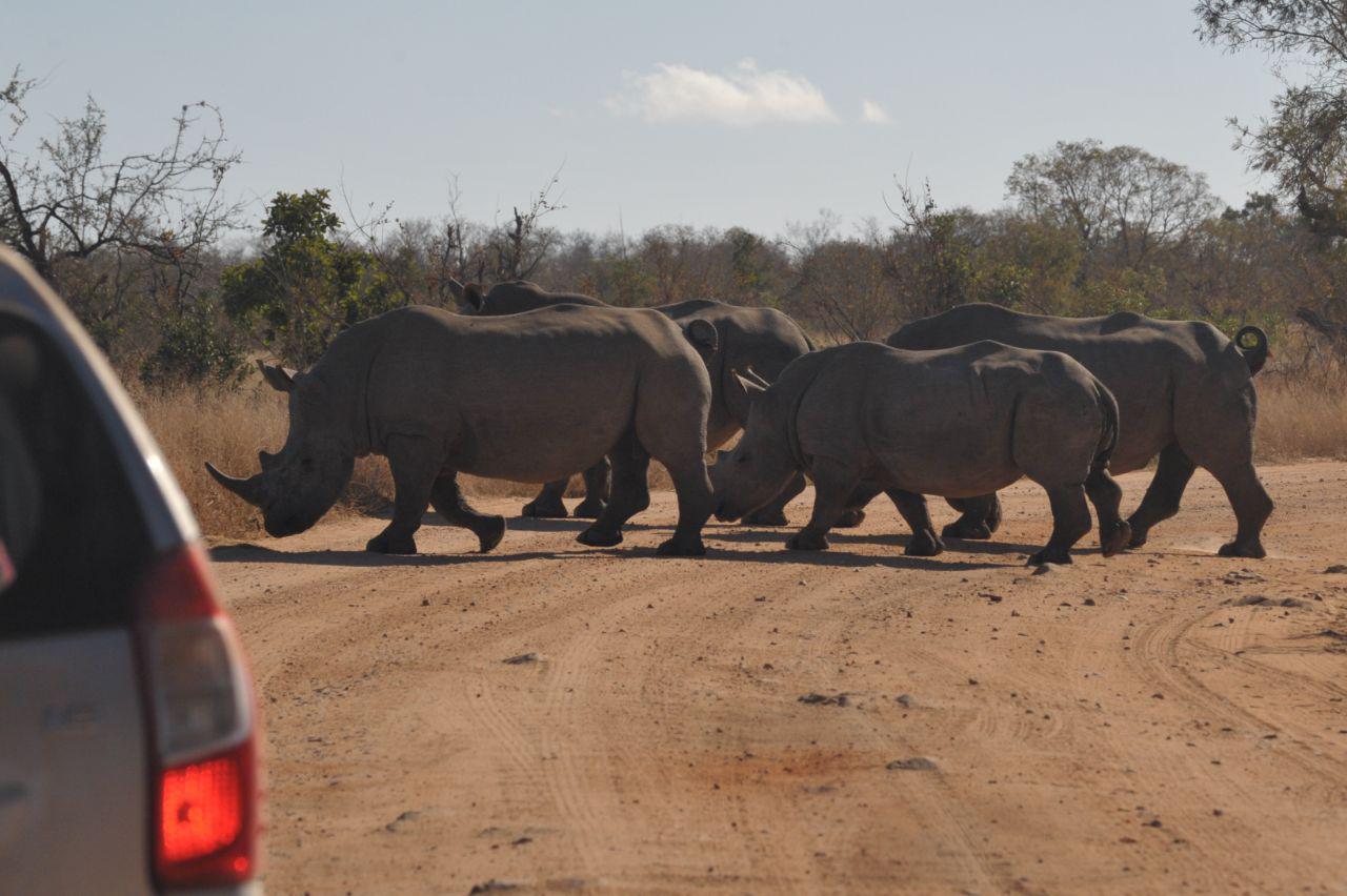 Kruger National Park