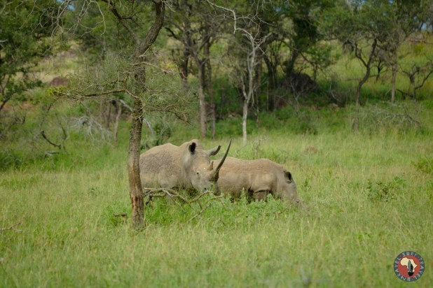 Umzumbe KwaZulu-Natal Surf Tour St Lucia Surfing Holiday