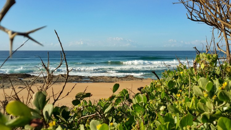 20160503_084003_2small